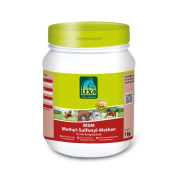 LEXA MSM (Methyl Sulfonyl Methan)  1 kg