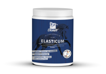 DERBY Elasticum - 700g
