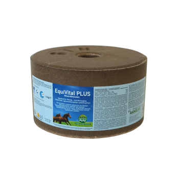 Imima Lecksteine - EquiVital Plus - 3kg
