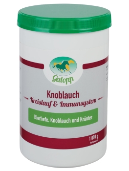 Galopp Knoblauch - 1 kg