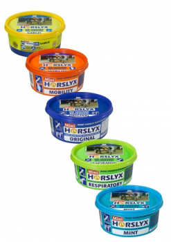 DERBY® Horslyx Leckschalen Color Edition 650 g