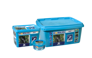 DERBY® Horslyx Mint
