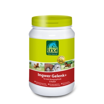 LEXA Ingwer Gelenk+