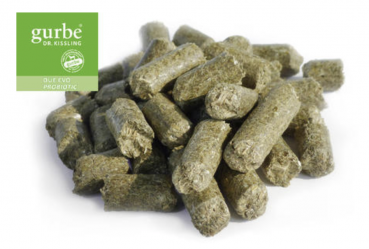 gurbe® DUE EVO PROBIOTIC 20kg