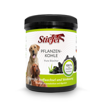 STIEFEL Hund Pflanzenkohle