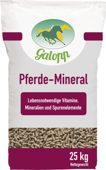 Galopp Pferdemineral