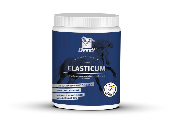 DERBY Elasticum - 700g