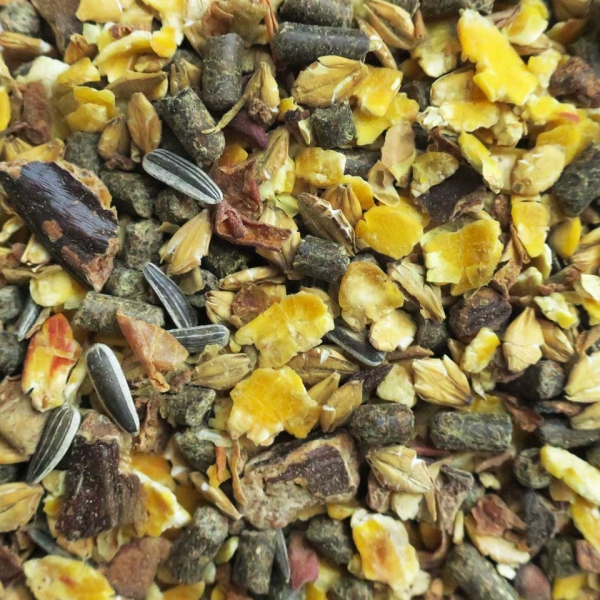 Eohippos INDIAN SUMMER 2.0 - 20 kg