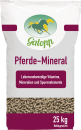 Galopp Pferdemineral